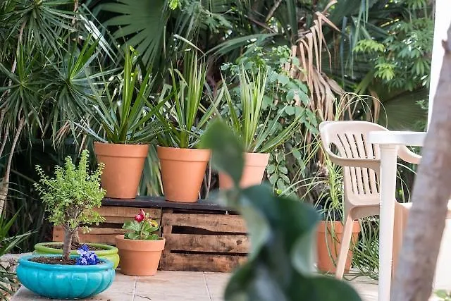 Villas Del Mayab House For 4 Playa del Carmen Mexico